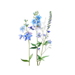 Naklejka premium Delicate Blue Wildflowers on White Background