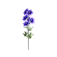 Obraz premium Purple Delphinium Flower Stem