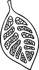 Stylized decorative line art tree leaf. Zentangle patterned autumn hand drawn contour leaf, abstract decorative design element	
