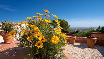 Mediterranean Terraced Garden with terracotta pots, olive trees, lavender, rosemary, other Mediterranean plants