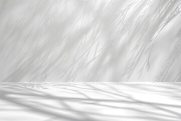 Obraz premium Minimal style interior white empty room with sunlight and leaves shadows in modern house. Copy space