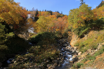 紅葉全盛期の大雪山