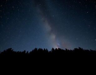The dark silhouettes of trees line the horizon, with a breathtaking night sky filled with stars above.