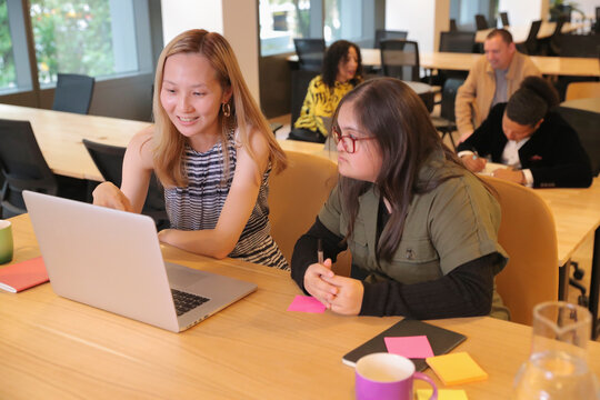 Two women working in modern office - Powered by Adobe