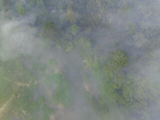 Tropical rainforest morning sunrise with fog through river nature landscape