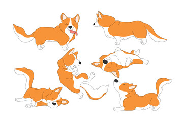 Corgi set. Funny puppies. Different poses - dog is running, sitting , back view .Vector