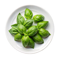 Fototapeta premium A top view basil leaves on white plate Isolated on transparent background.