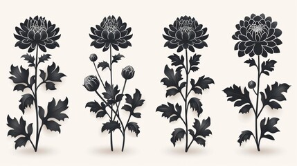 Design black silhouette illustrations of spooky Halloween Chrysanthemum in set of collection ,with bold lines and simple design, placed on a white background 