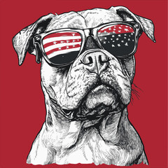 American Bulldog wearing american flag & sunglasses background in american flag a simple vector illustration

