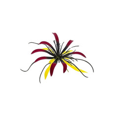 Fototapeta premium Exotic Red and Yellow Flower with Black Stamens Isolated on White Background