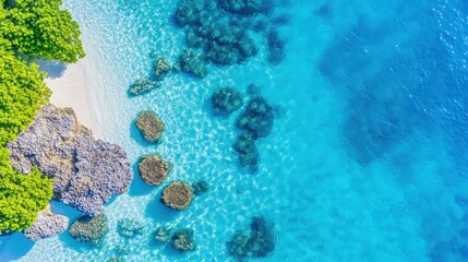 Aerial View of Serene Tropical Beach Landscape