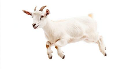 Fototapeta premium Adorable goat floating gracefully in the sky with a bright white background, capturing a sense of whimsy and playfulness