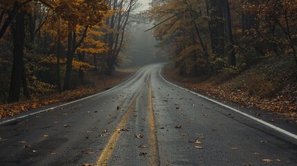 Fototapeta premium A winding road disappearing into the misty woods, surrounded by autumn leaves, invites contemplation and a mysterious allure.