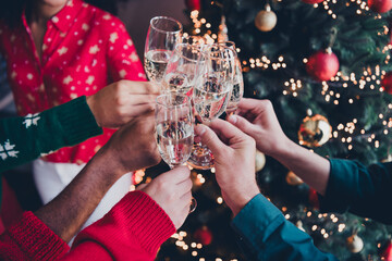 Cropped photo of cheerful young people colleagues champagne toast cozy christmas party decor...