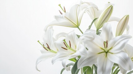 Fototapeta premium A bunch of fresh white lilies, their petals fully open, beautifully placed against a clean white backdrop, evoking purity and grace.
