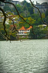 Kandy lake near Temple of the tooth relic in Sri Lanka