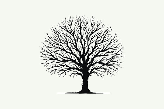 A minimalist vector illustration of a leafless tree art