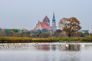 Blick auf Greifswald