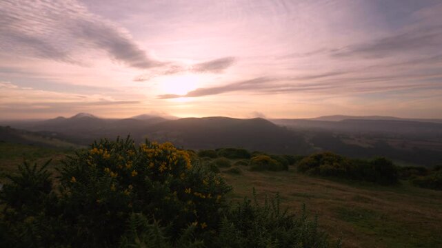 English countryside background with yellow gorse and beautiful hills near dusk