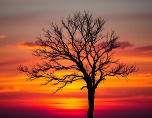 A solitary tree stands against the backdrop of a vibrant sunset, its dark silhouette contrasted by the orange, pink, and purple hues of the sky.