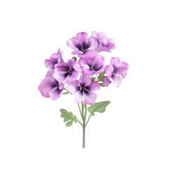 Obraz premium Pink Flowers Isolated on White Background