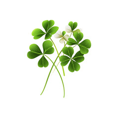 Green Clover with White Flowers