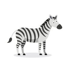 Zebra animal isolated flat vector illustration on white background