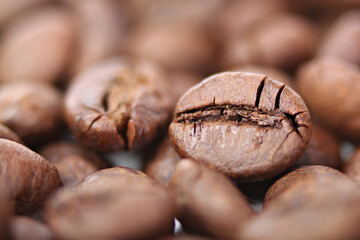 Expanded image of dark roasted Robusta coffee beans. Grown in Chumphon Province, Thailand 