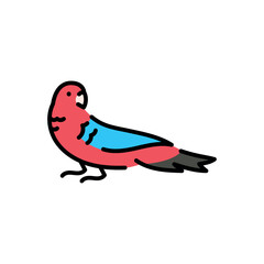 Platycercus elegans color icon.
