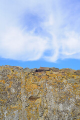 Liquen en muro rústico y cielo 