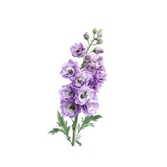 Purple Larkspur Flower Bouquet