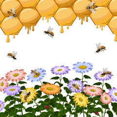 Honeycombs and flowers in the illustration.Colored illustration with bees, honeycomb and multi-colored flowers.