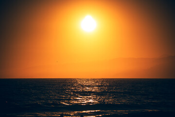 Venice Beach Sun 