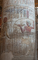 Hieroglyphic carvings on an ancient egyptian temple column