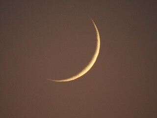New Moon