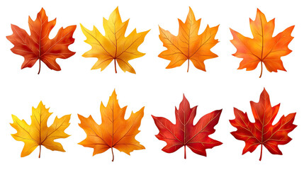 Vibrant autumn maple leaves in shades of orange, yellow, and red, isolated on a white background, capturing the beauty of fall foliage