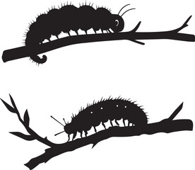 illustration of a caterpillar