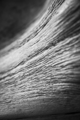 wood bark texture grunge old nature 