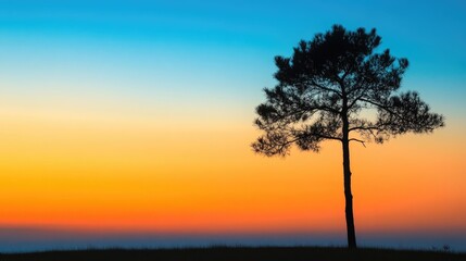 Fototapeta premium Silhouette of a solitary tree set against a gradient sky featuring hues of orange and blue during twilight