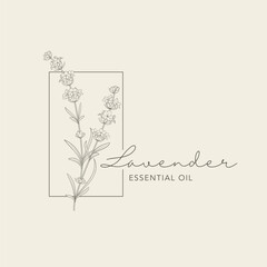 Lavender flower vector logo. Floral design label