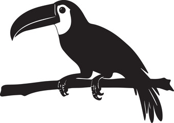 toucan on a branch