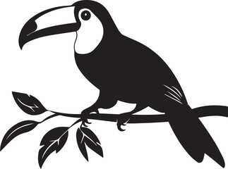 toucan on a branch
