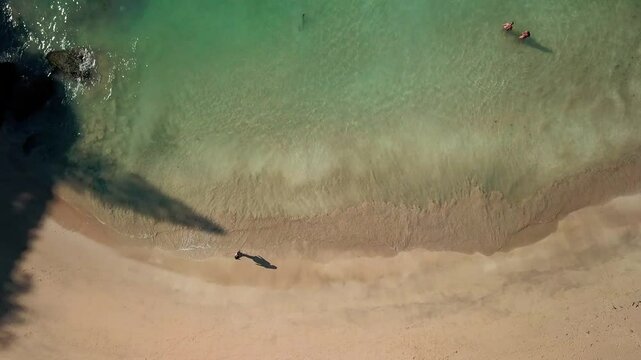 Aerial view of Ferradurinha Beach showing a person by the shore, with gentle waves.