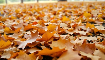 With the arrival of autumn, fallen leaves are scattered on the ground. close-up.