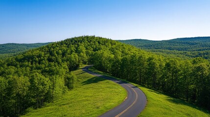 Fototapeta premium Winding Journey through Pine Forest, a serene ascent along a twisting road leading to a lush hilltop, surrounded by towering pine trees and fresh mountain air