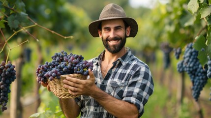 A smiling male farmer holding a bunch of grape in hand in plantation field in farm