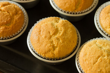 Group photo of muffins fresh from the oven.