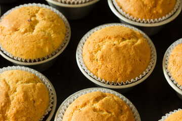 Group photo of muffins fresh from the oven.