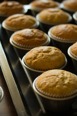 Group photo of muffins fresh from the oven.