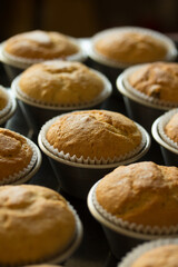 Group photo of muffins fresh from the oven.